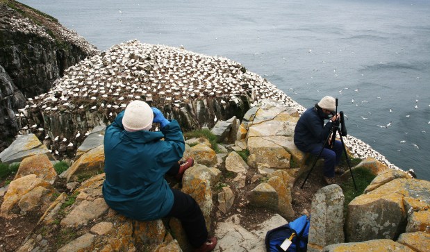 Canadian Parks and Wilderness Society-NL partnership with National Geographic Will Lead to Development of Geotourism&nbsp;Guide