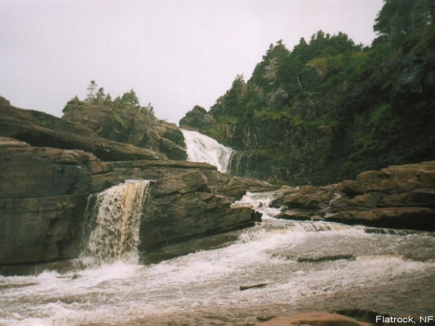 Northeast Avalon Towns to Develop Coastal Resource&nbsp;Inventory