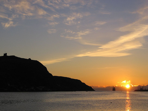 Groups Applaud City's Move to Re-activate Environmental Advisory&nbsp;Committee