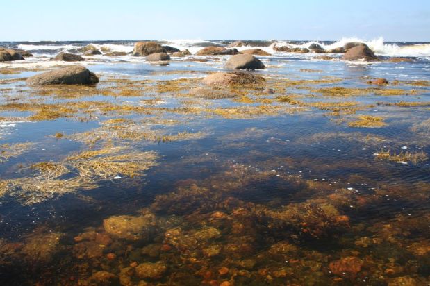 Oil and gas in the Gulf of St. Lawrence: should we&nbsp;worry?