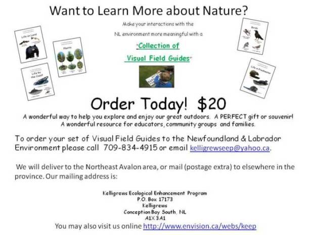 Sale of Visual Field Guides for THE ENVIRONMENT of NEWFOUNDLAND and&nbsp;LABRADOR